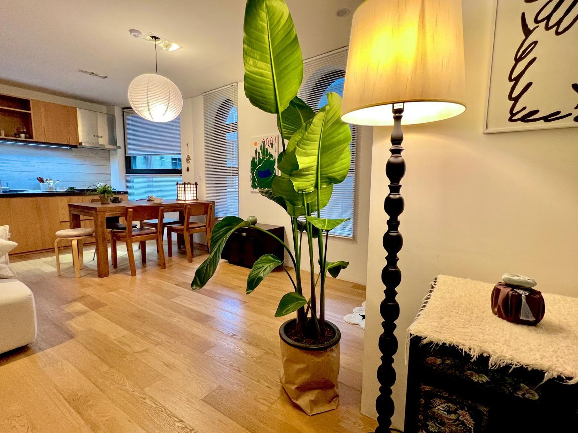 Korean Traditional Terrace House Paradise Shopping Center ソウル特別市