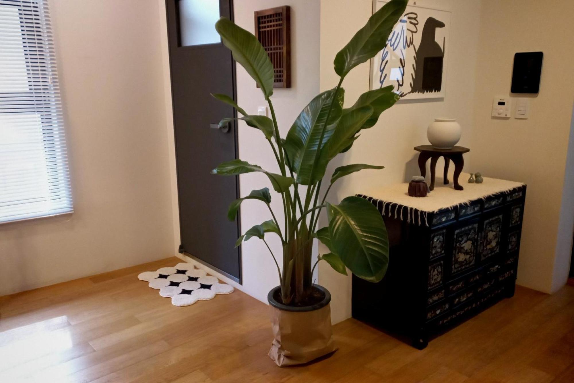 アパート Korean Traditional Terrace House Paradise Shopping Center